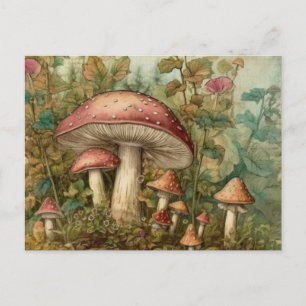 Märchenpilze Postkarte