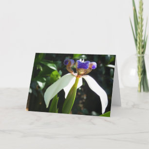 "Marcher Iris 2." Carte de vœux