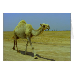 Marcher sur la longue route