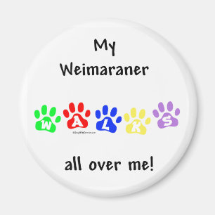 Marches Weimaraner - Magnet