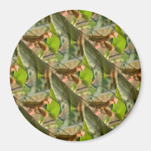 Marchin' On... Magnet