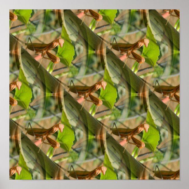 Marchin' On... Poster (Vorne)