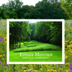 Marching Bear Mounds Group, Sommer, Effigy Mounds Postkarte