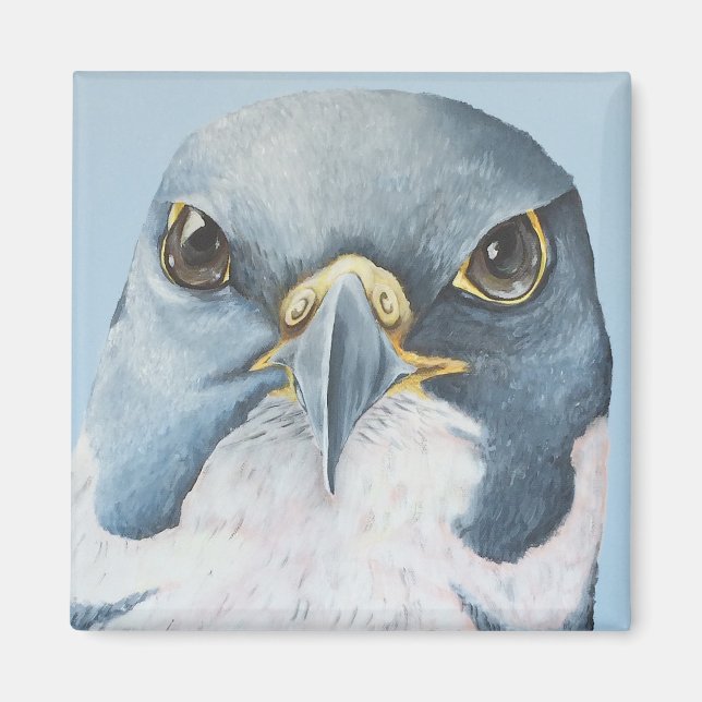 Marco, der Peregrine-Falken Magnet (Vorne)
