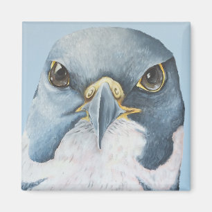 Marco, der Wanderfalke Magnet