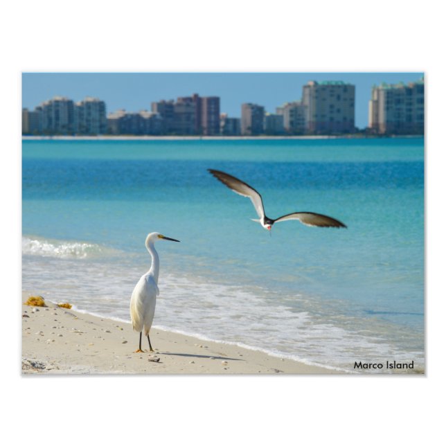 Marco Island Fotodruck (Vorne)