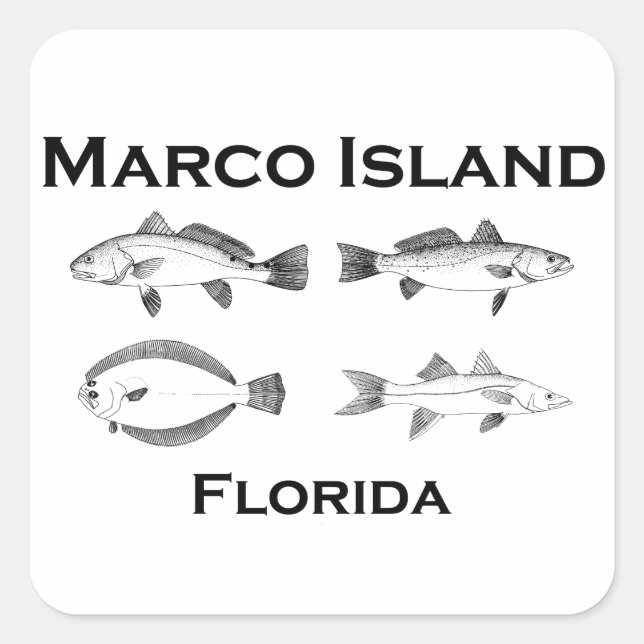 Marco Island Saltwater Fish Quadratischer Aufkleber (Vorderseite)