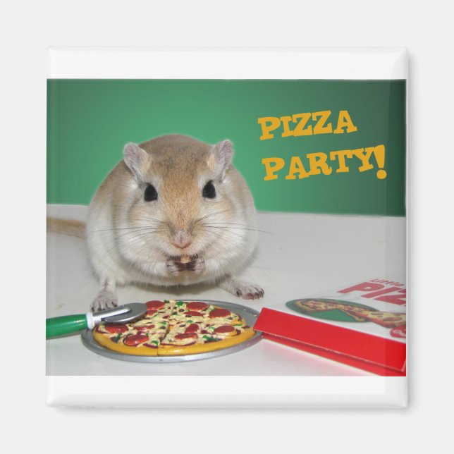 Marco le Magnet de la Pizza Party de Gerbil (Devant)