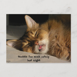 Marcus hat einen Hangover Postkarte