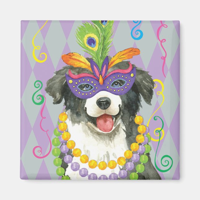 Mardi Gras Border Collie Magnet (Vorne)
