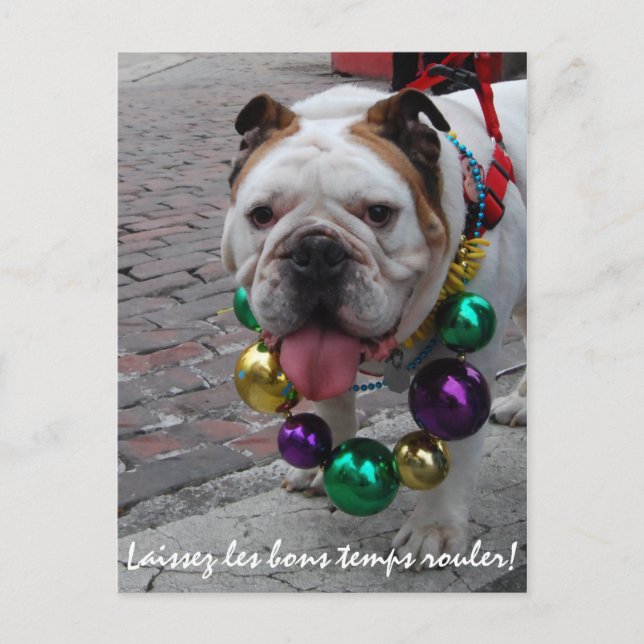Mardi Gras Bulldog Postkarte (Vorderseite)