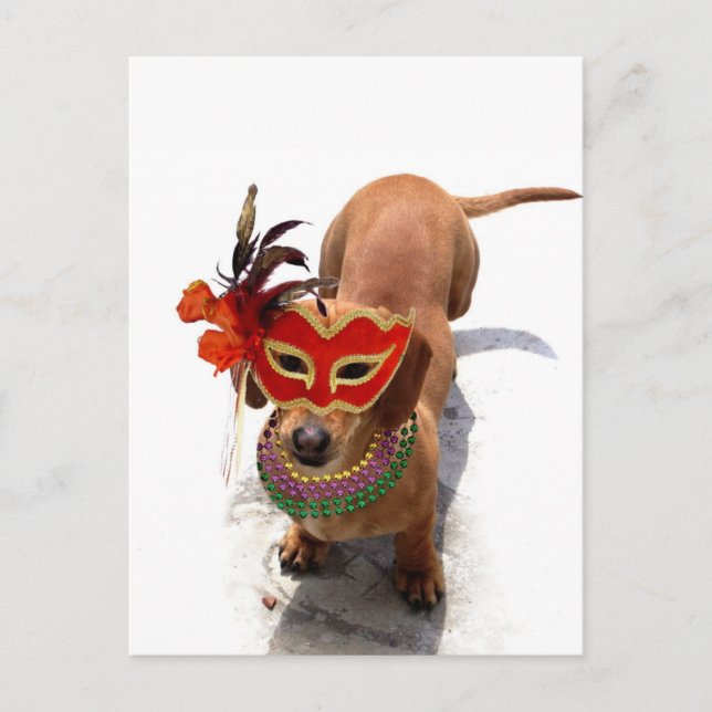 Mardi Gras Dachsund Hund Postkarte (Vorderseite)
