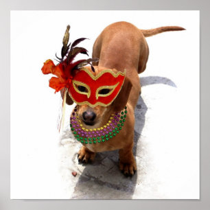 Mardi Gras Dackel Poster