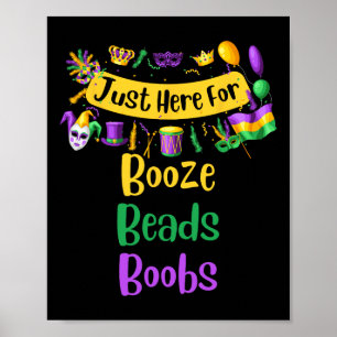 Mardi Gras für Männer Frauen Ich bin nur hier für  Poster