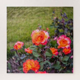 Mardi Gras Rose mit einer Wendung