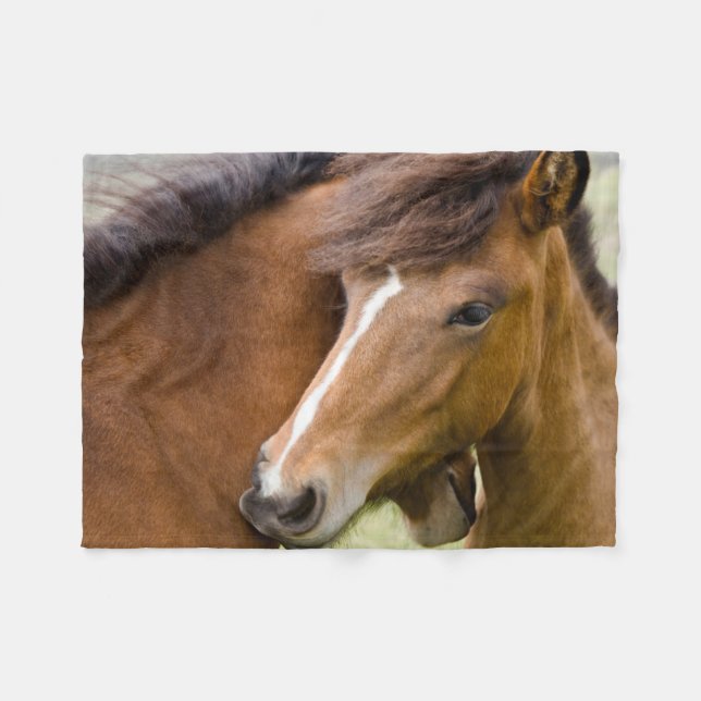Mare and Colt Fleecedecke (Vorderseite (Horizontal))