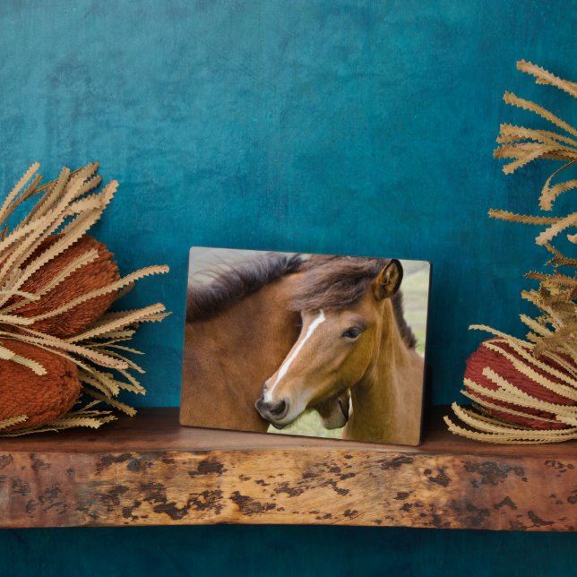 Mare and Colt Fotoplatte (Seite)