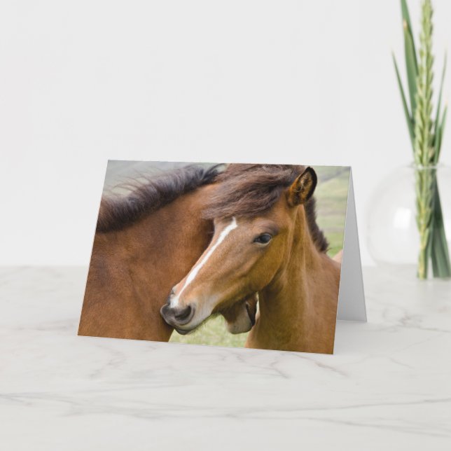 Mare and Colt Karte (Vorderseite)