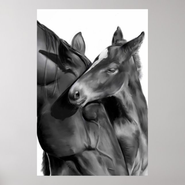 Mare and Foal in Black and White Poster (Vorne)