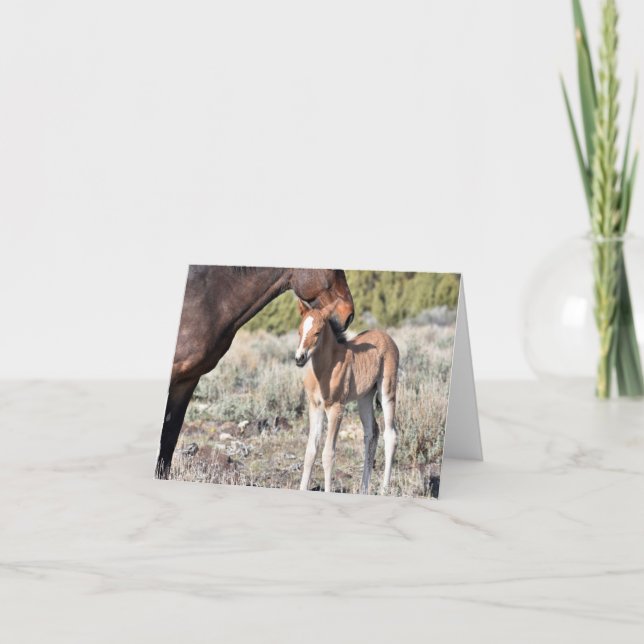 Mare and foal standing together in the sunshine karte (Vorderseite)