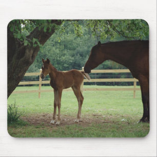 Mare and Foal Under Tree Mousepad