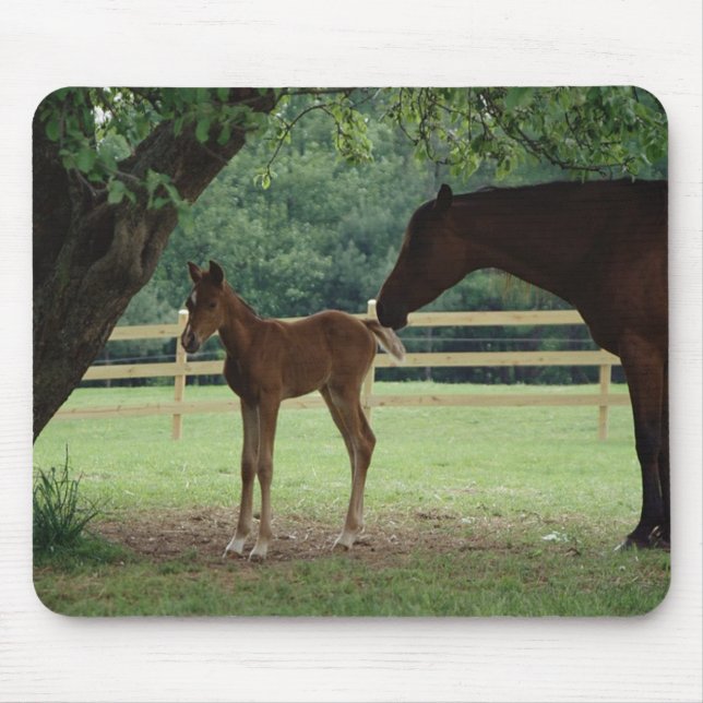 Mare and Foal Under Tree Mousepad (Vorne)