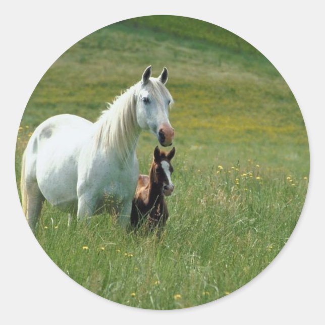 Mare and Foor in Groß Runder Aufkleber (Vorderseite)