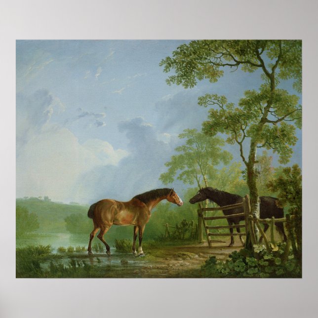 Mare and Hallion in einer Landschaft Poster (Vorne)