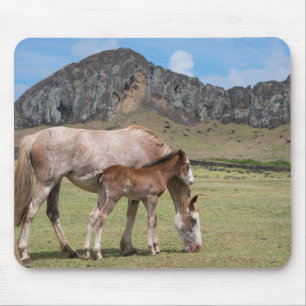 Mare & Colt am Vulkankrater von Rano Raraku Mousepad