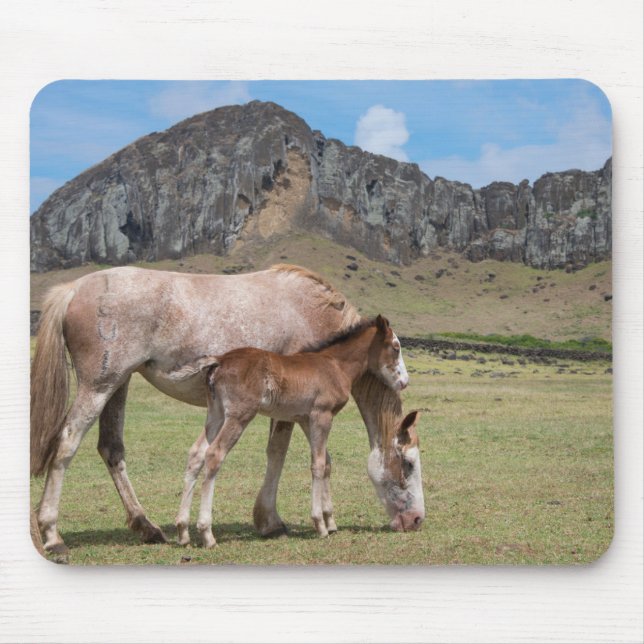 Mare & Colt am Vulkankrater von Rano Raraku Mousepad (Vorne)