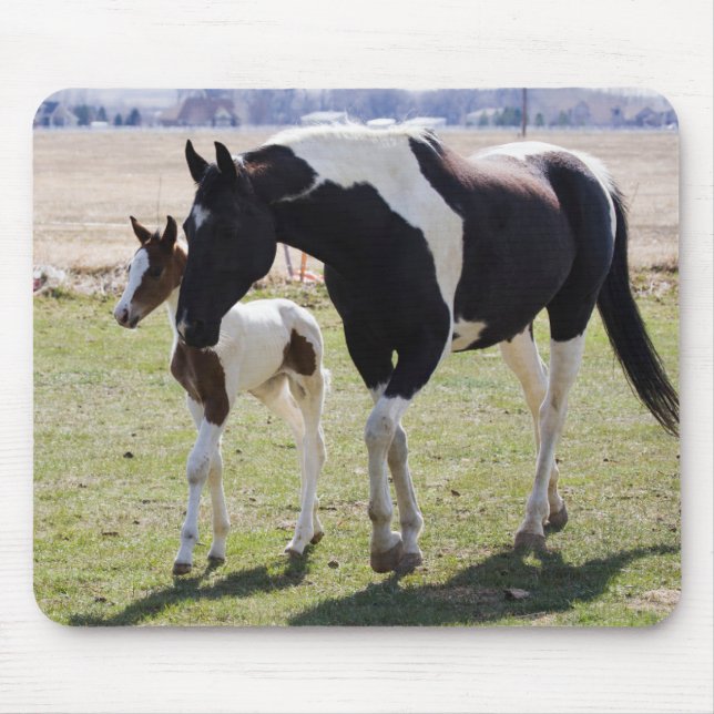 Mare und Filly Walking Mousepad (Vorne)