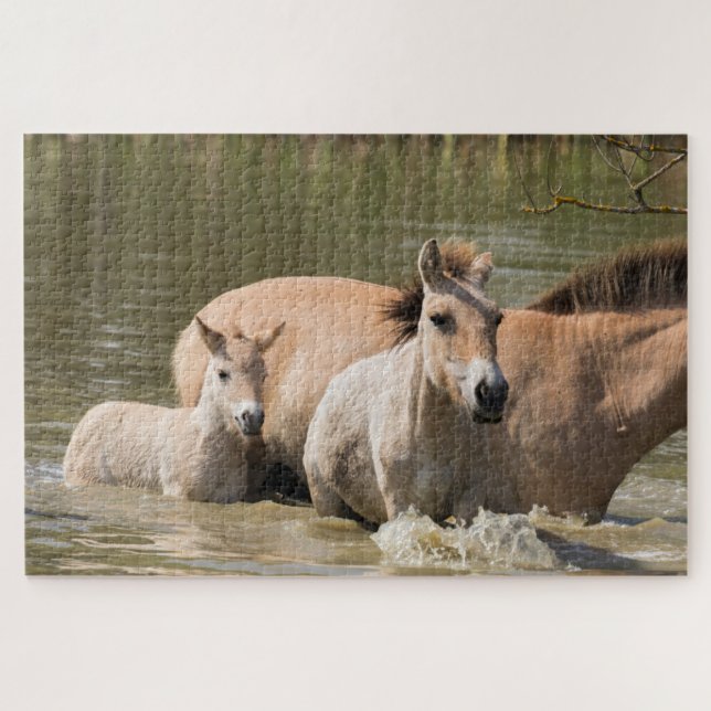 Mare with Foal Crossing a River (Horizontal)
