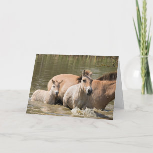 Mare with Foal Crossing a River Karte