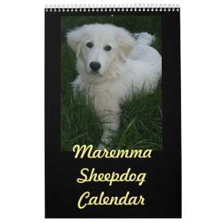 Maremma Schäferhund-Kalender Kalender