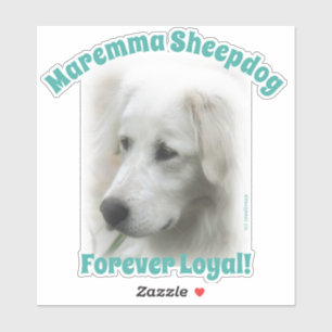 Maremma sheepdog Forever Loyal transparente Aufkle Aufkleber