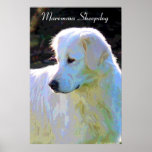 Maremma sheepdog Pop Art Poster<br><div class="desc">Schönes Maremma Pop Kunstposter.</div>