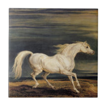 Marengo das Weiße Pferd (von James Ward)