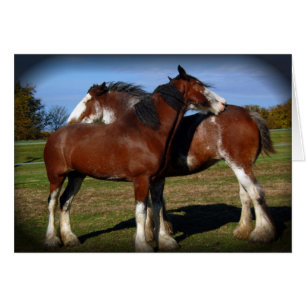 Mares à rayures arrière