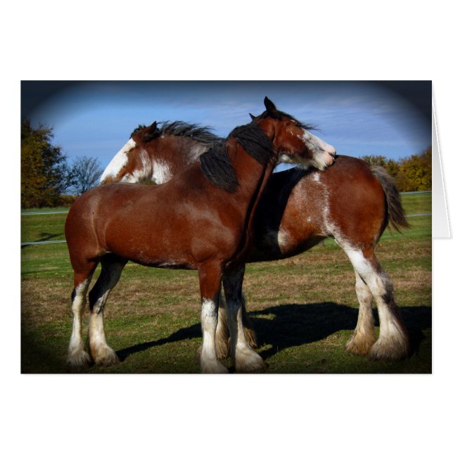 Mares à rayures arrière (Devant horizontal)