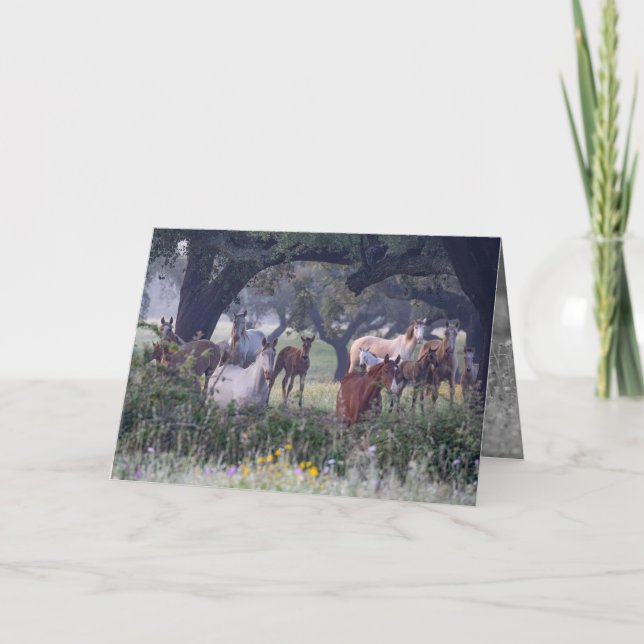 Mares and Foals in den Blume - Grußkarte Dankeskarte (Vorderseite)
