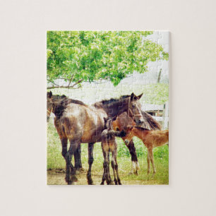 Mares und Foals