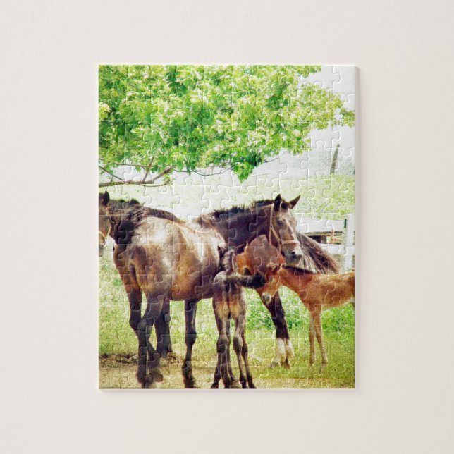 Mares und Foals (Vertikal)