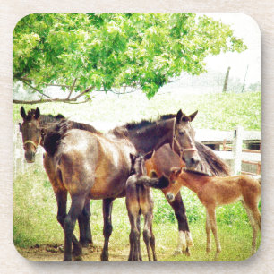 Mares und Foals Getränkeuntersetzer
