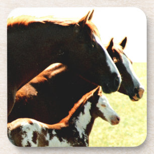Mares und Foul Pferde Untersetzer