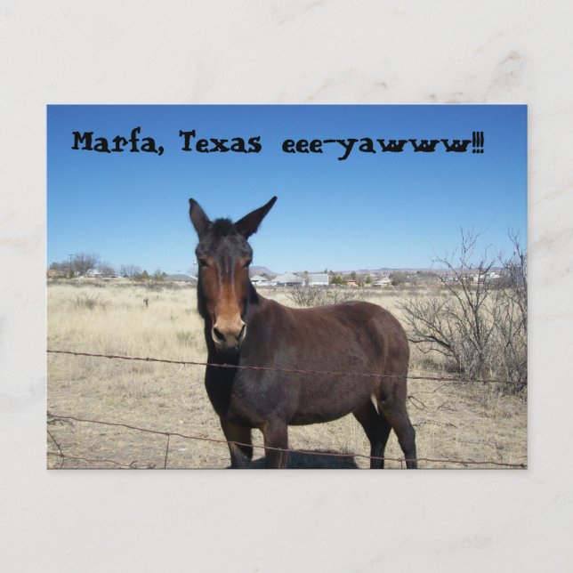 Marfa, Texas, eee-yawww!!! Postkarte (Vorderseite)