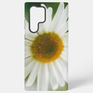 Margarite - Leucanthemum vulgare Samsung Galaxy Hülle
