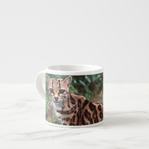 Margay, Leopardus wiedi, Heimat Mexiko bis Espressotasse