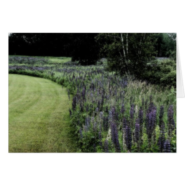 Marge Lupine (Devant horizontal)