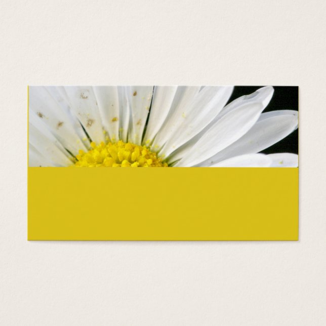 Margerite (Vorderseite)