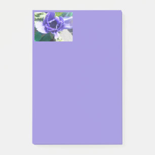 Marguerit Post-it Klebezettel